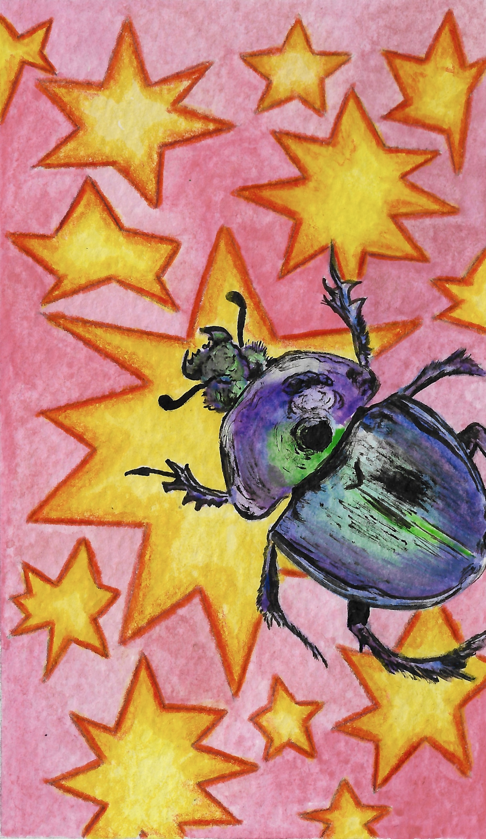 waterpaint/colour pencil illustration of a dung beetle